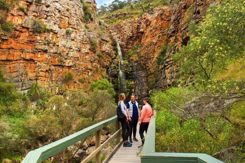 Morialta Wilderness and Wildlife Hike