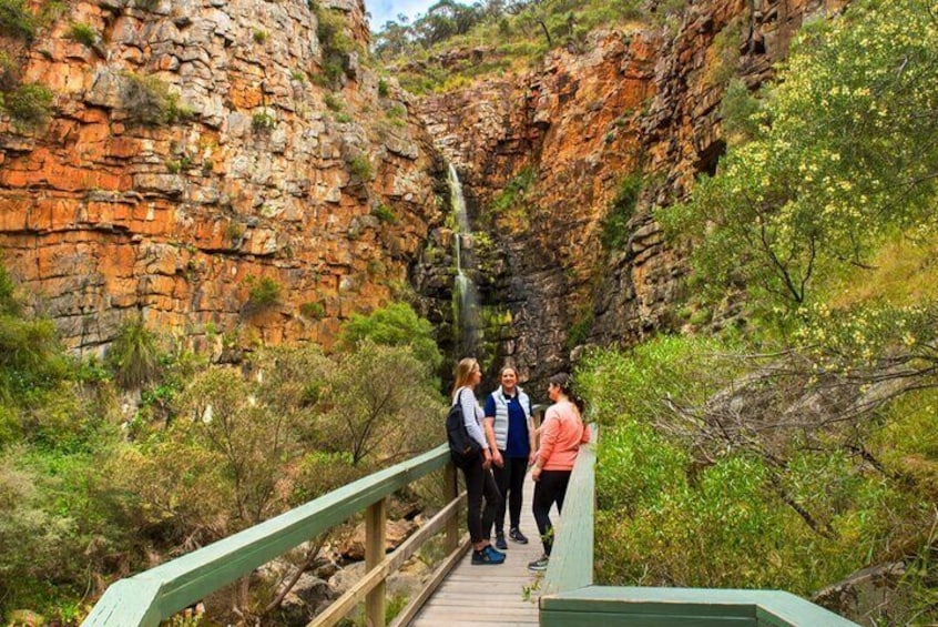 Morialta Wilderness and Wildlife Hike