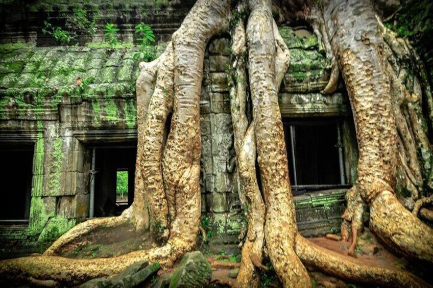 Ta Prohm Temple