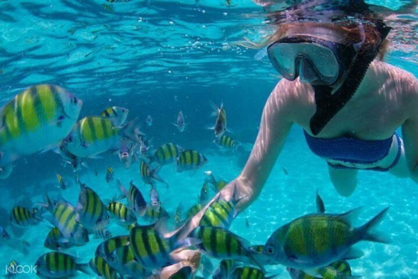 Island Hopping in Cebu