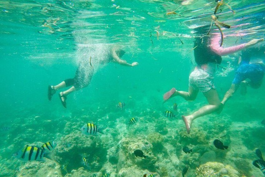 Snorkeling in Caohagan