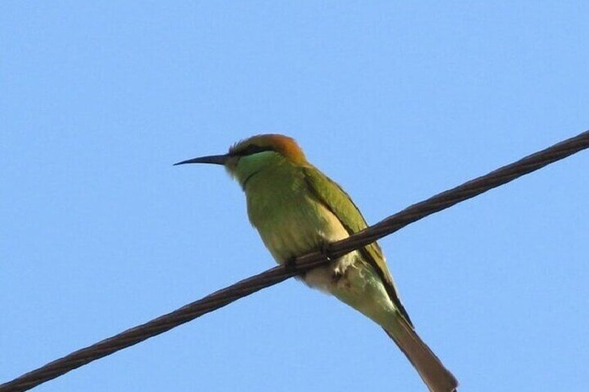 Karnala Bird Sanctuary Excursion From Mumbai
