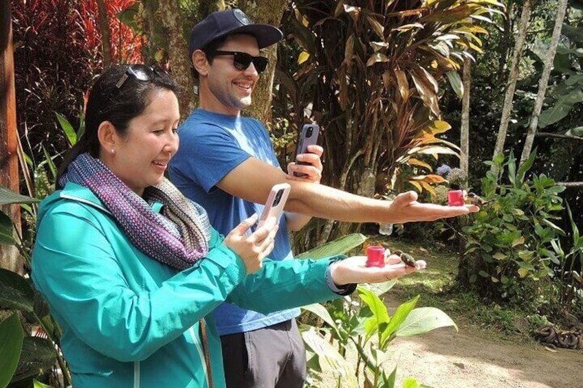 Mindo Cloud Forest Private Day Tour
