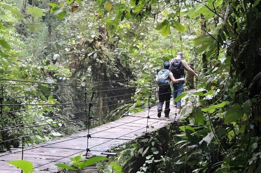 Hiking through Mindo Nambillo Reserve.