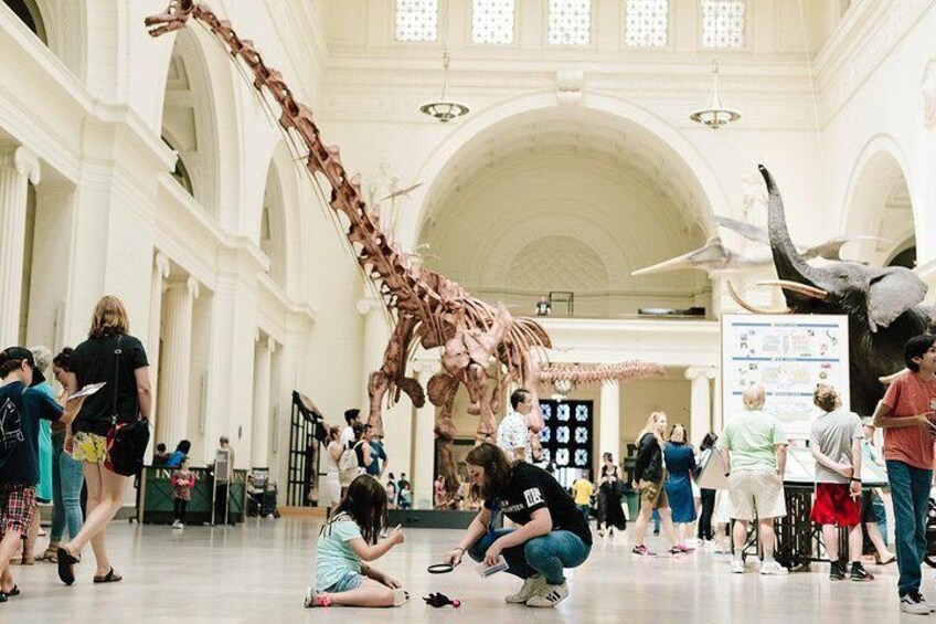 Field Museum of Natural History All-Access Pass 