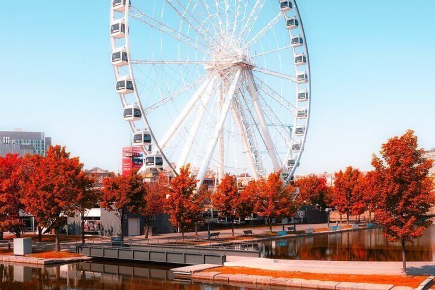 Montreal: Private Tour with a Local Guide