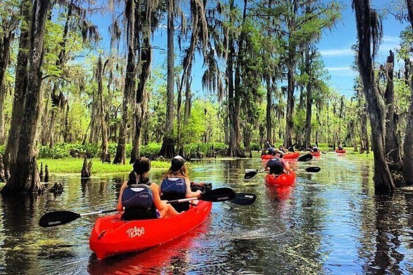 Small-Group Manchac Swamp Kayak Tour