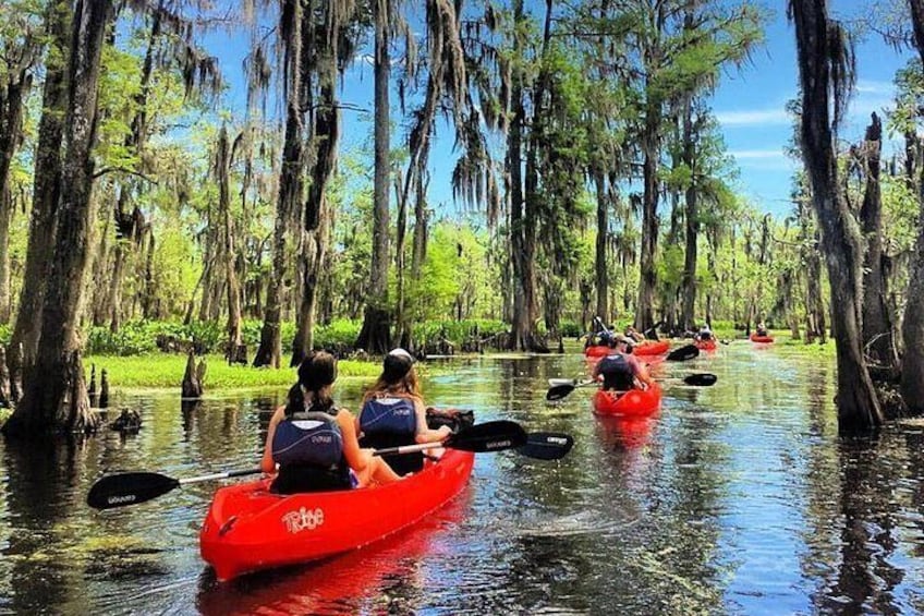 Small-Group Manchac Swamp Kayak Tour