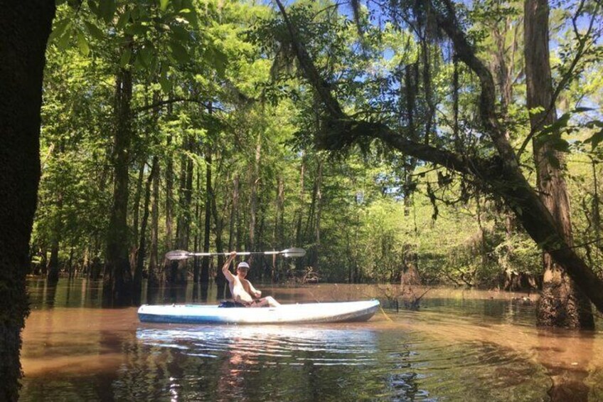 Manchac Swamp Kayak Small-Group Tour