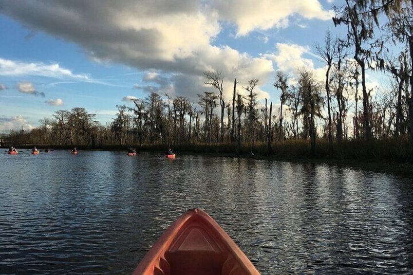 Manchac Swamp Kayak Small-Group Tour