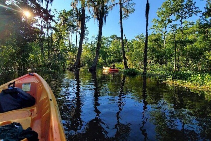 Manchac Swamp Kayak Small-Group Tour
