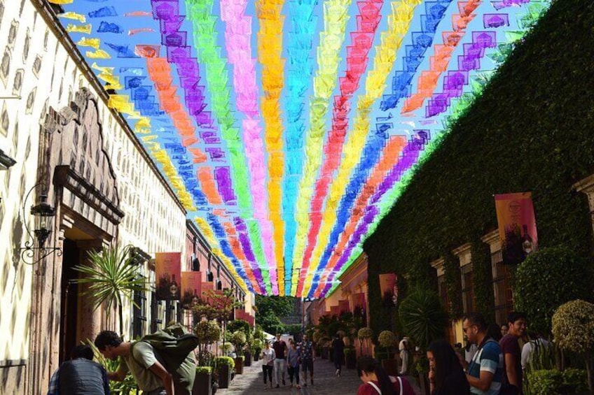 Full-Day Tequila Tour from Guadalajara