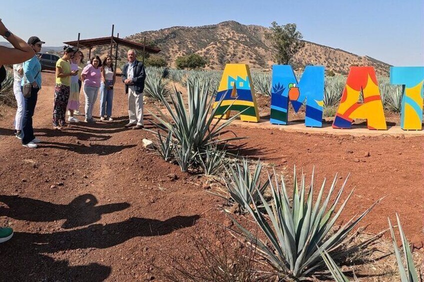 Full-Day Tequila Tour from Guadalajara