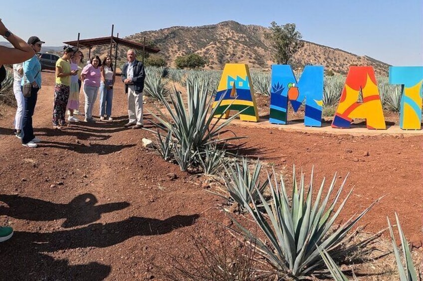 Full-Day Tequila Tour from Guadalajara