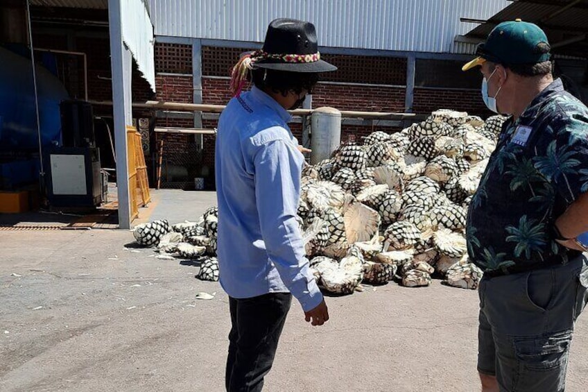 Full-Day Tequila Tour from Guadalajara