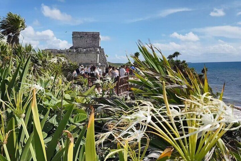 Cancun Jungle Tour: Tulum, Cenote Snorkeling, Ziplining, Lunch