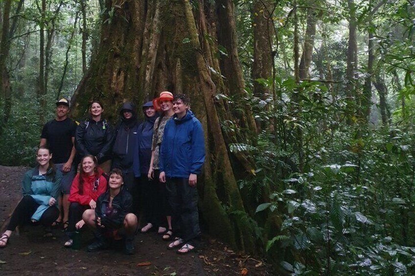 Private Natural History Walk by Pasión Costa Rica