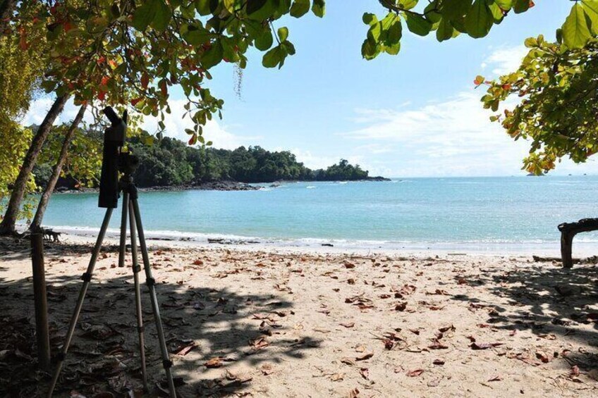Manuel Antonio National Park Hiking Tour from Jacó