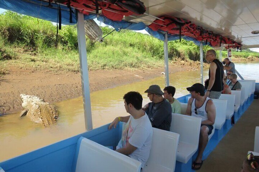 Jungle Crocodile Safari and Bird Watching Tour