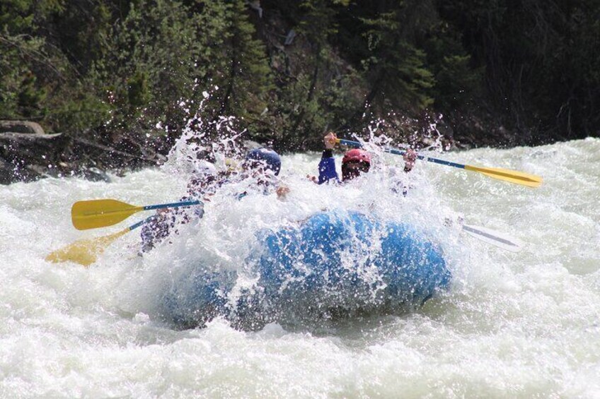 Class 3 Sunwapta River Rafting Adventure in Jasper