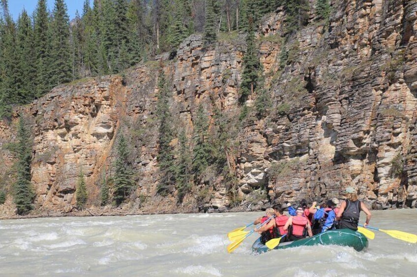 Athabasca Falls Run