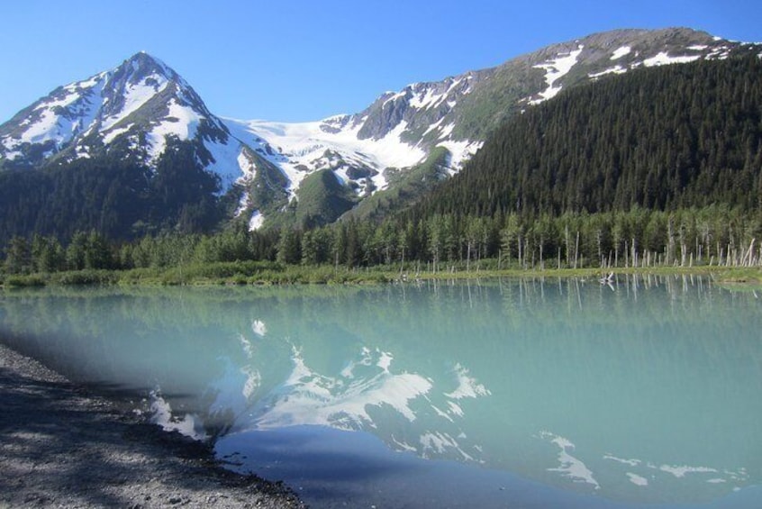 Wildlife and Glaciers with a walk in the Rainforest