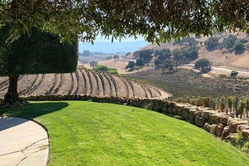 Santa Barbara Vineyard to Table Taste Tour by E-Bike