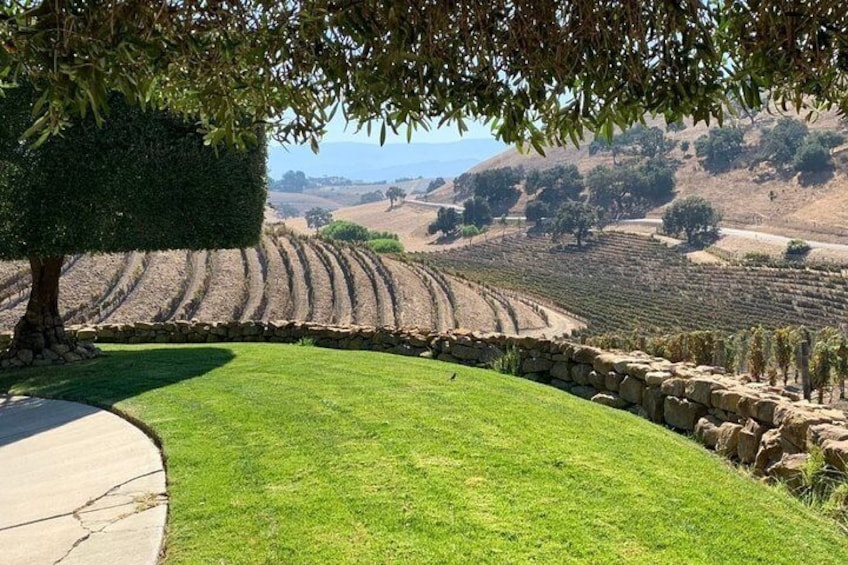Santa Barbara Vineyard to Table Taste Tour by E-Bike