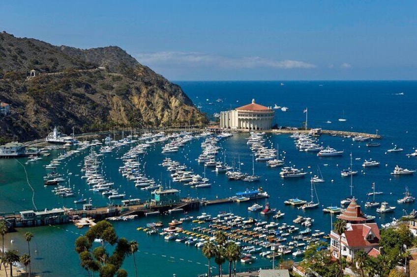 Discover Avalon Tour - picture spot of Avalon Bay