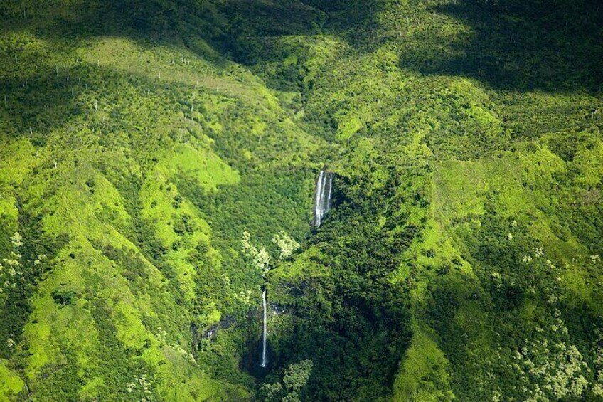 Hanalei Valley