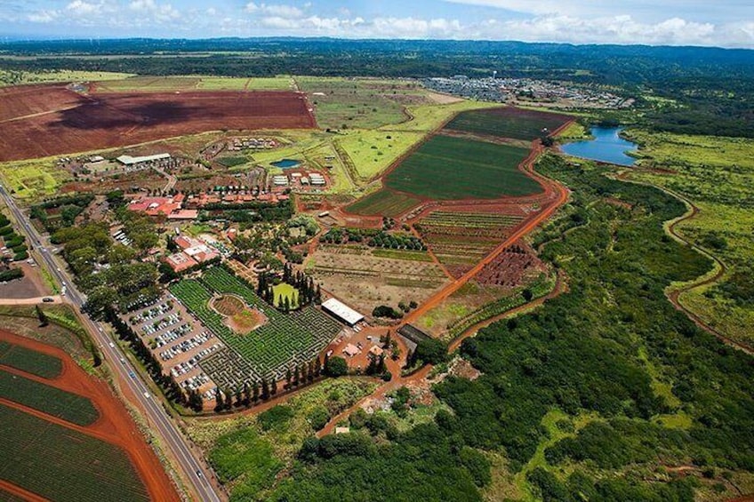 Dole Plantation on the North Shore