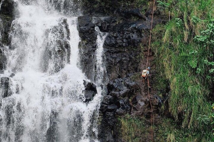 Waterfall Rappelling at Kulaniapia Falls: 120 Foot Drop, 15 Minutes from Hilo
