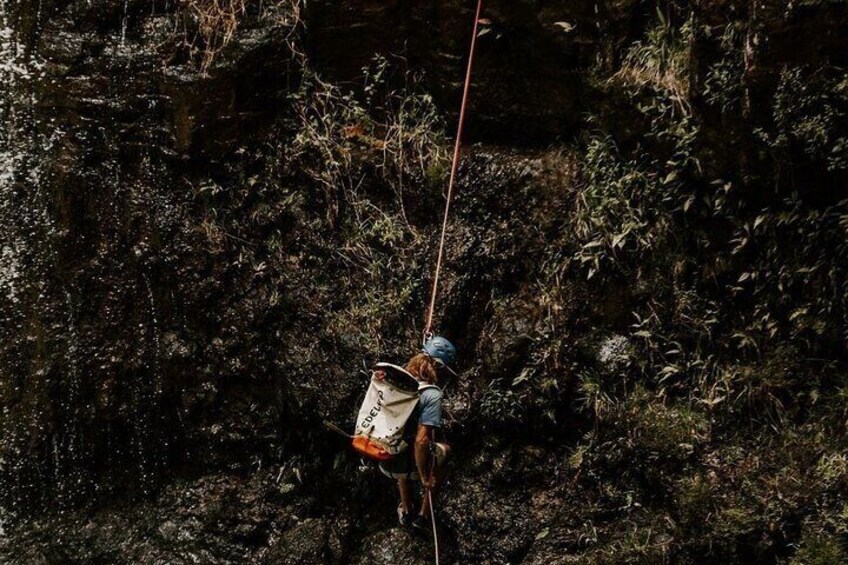 Waterfall Rappelling at Kulaniapia Falls: 120 Foot Drop, 15 Minutes from Hilo