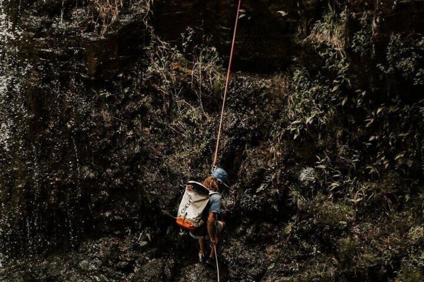 Waterfall Rappelling at Kulaniapia Falls: 120 Foot Drop, 15 Minutes from Hilo