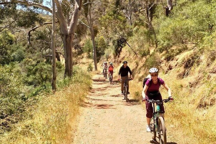 Mount Lofty Descent Bike Tour from Adelaide