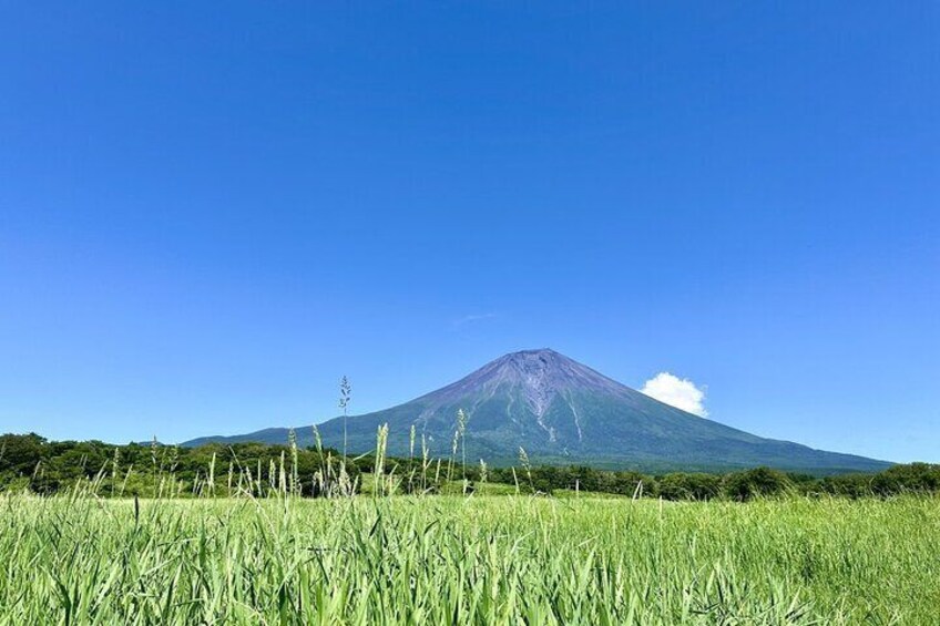 Tokyo: Mt. Fuji, Oshino Hakkai and Gotemba Outlets 1Day Bus Tour