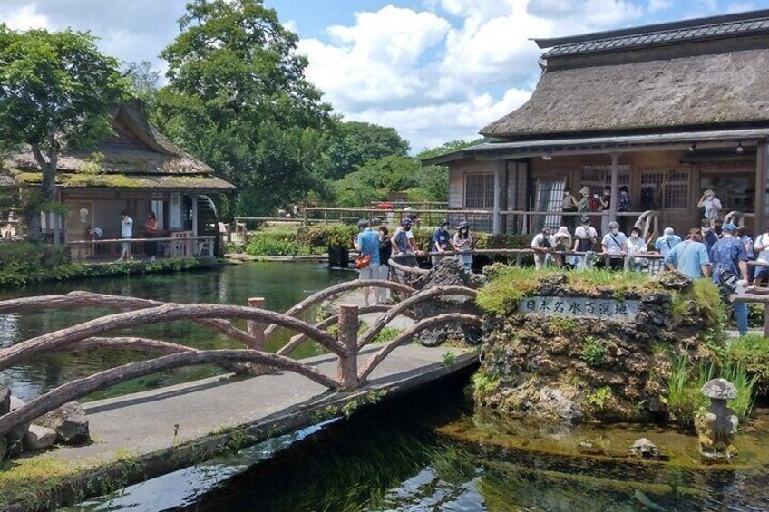 Tokyo: Mt. Fuji, Oshino Hakkai and Gotemba Outlets 1Day Bus Tour