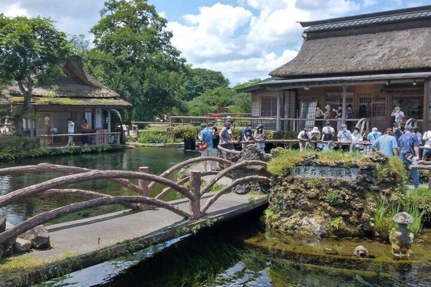 Tokyo: Mt. Fuji, Oshino Hakkai and Gotemba Outlets 1Day Bus Tour