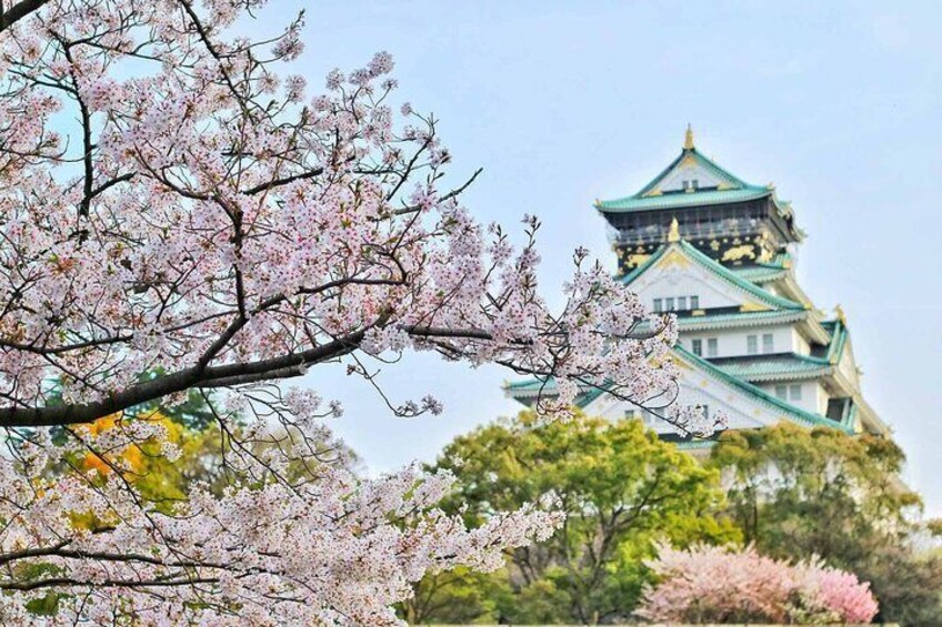 Osaka 4hr Private Tour with Government-Licensed Guide