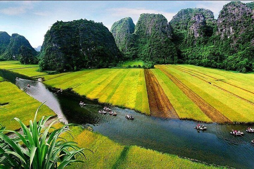 Tam Coc View