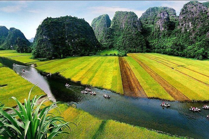 Tam Coc View