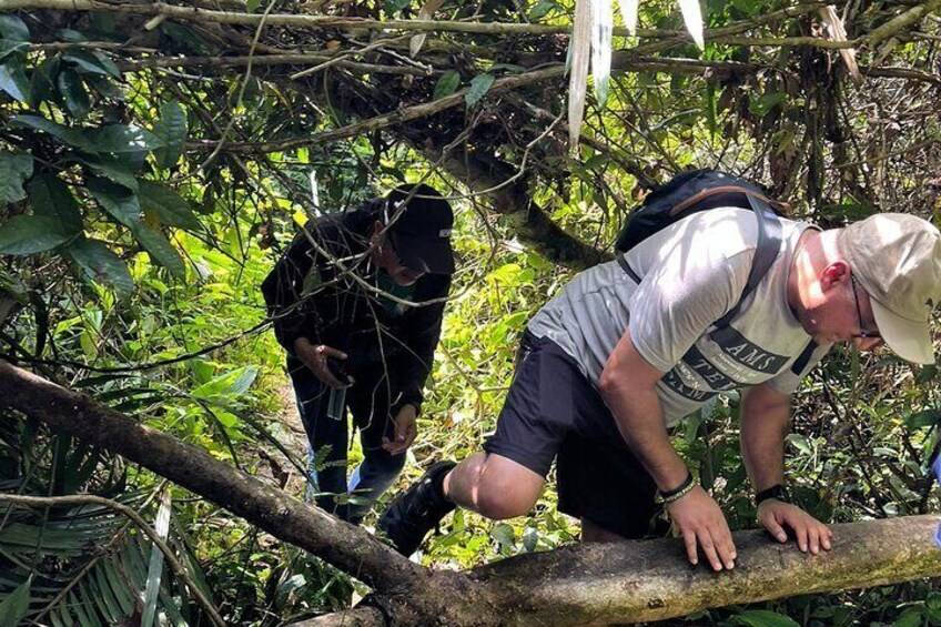Small-Group Jungle Hiking Excursion in Khao Phra Teaw Park