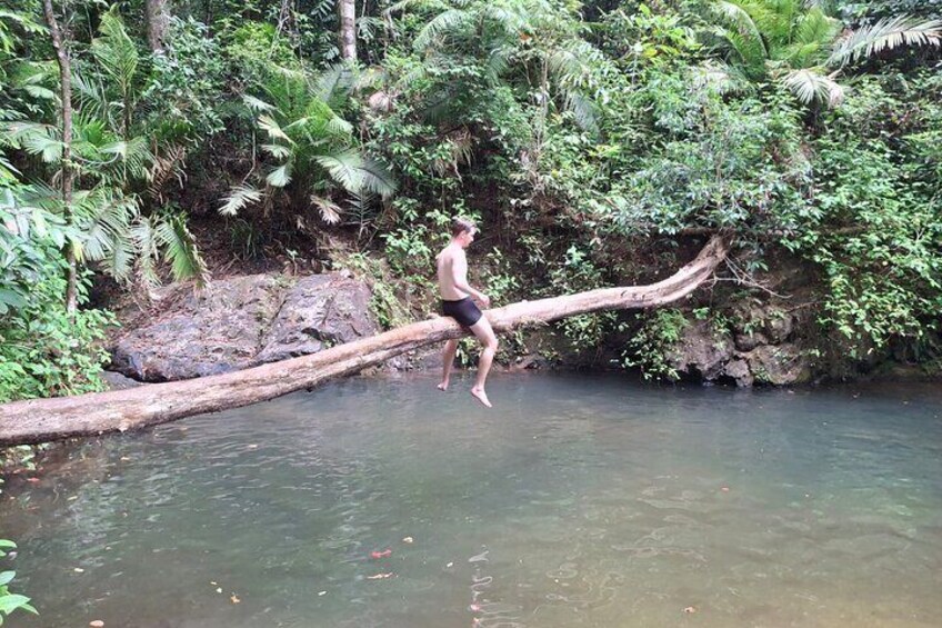 Small-Group Jungle Hiking Excursion in Khao Phra Teaw Park