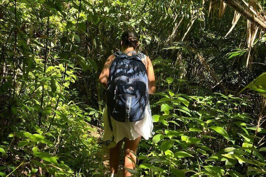 Small-Group Jungle Hiking Excursion in Khao Phra Teaw Park