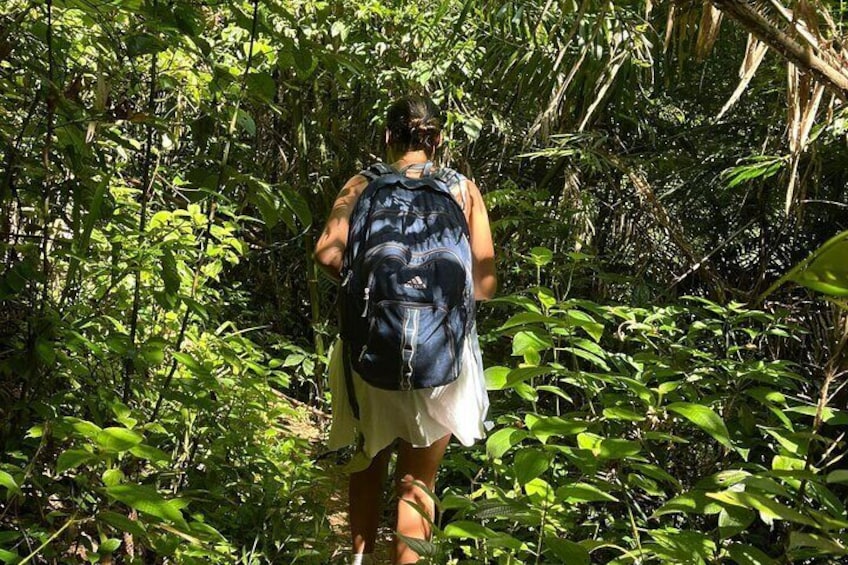 Small-Group Jungle Hiking Excursion in Khao Phra Teaw Park