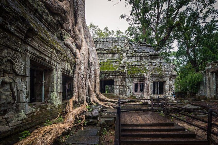 Ta-Prohm Tree Temple