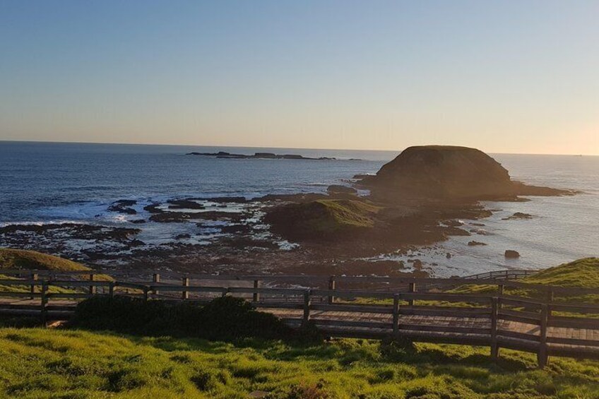 Phillip Island Private Experience