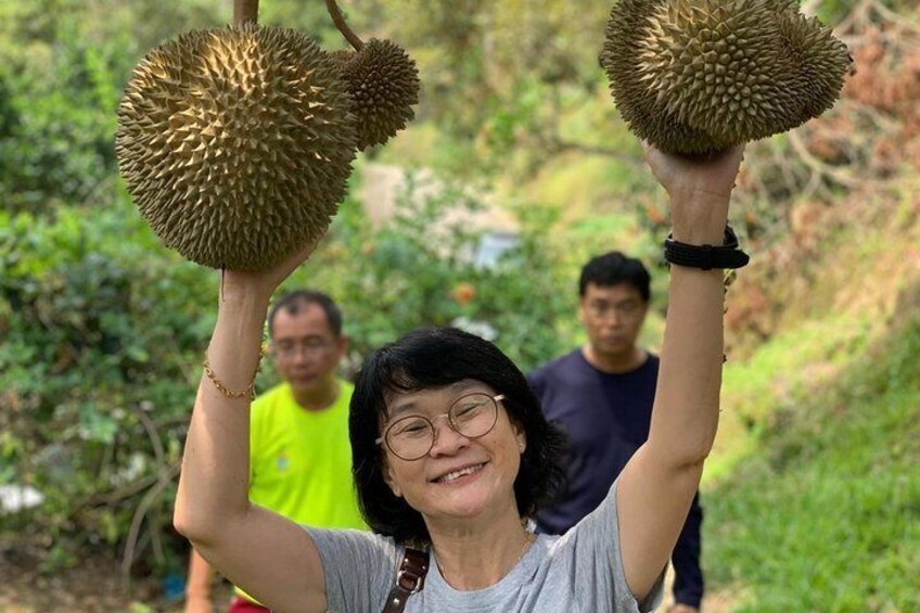 Durian at the Finger Tips @Balik Pulau