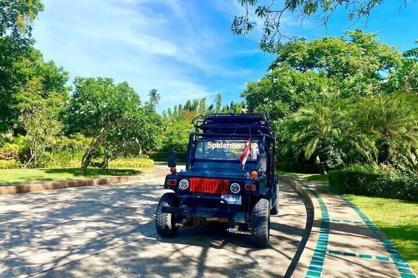 Mr Ung's Jungle Safari Tours (including Lunch)
