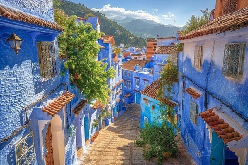 Day Trip to Chefchaouen and Tetouan